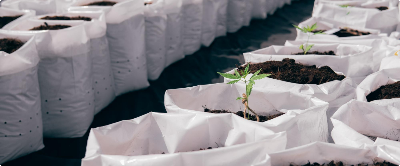 Velikii tonazh welcome-velikii-tonazh