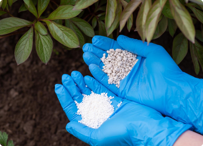 Mineralni dobryva features item