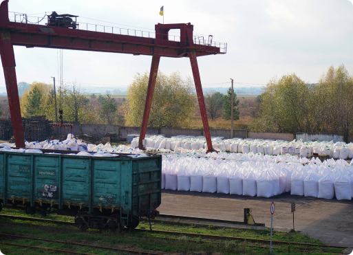 Zberigannia features item