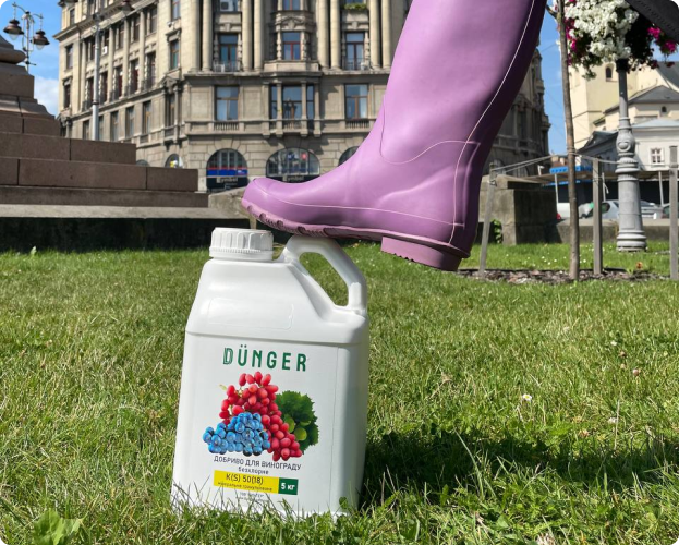 Dlia sadovikh roslin wholesale featured list item