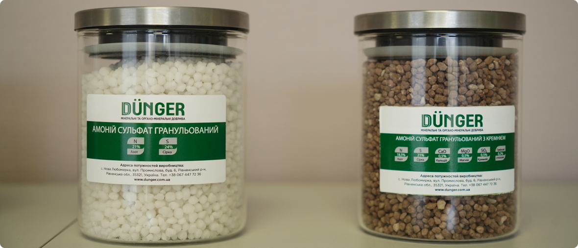 Services services-details