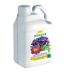 Fertilizers for spring flowers and greens